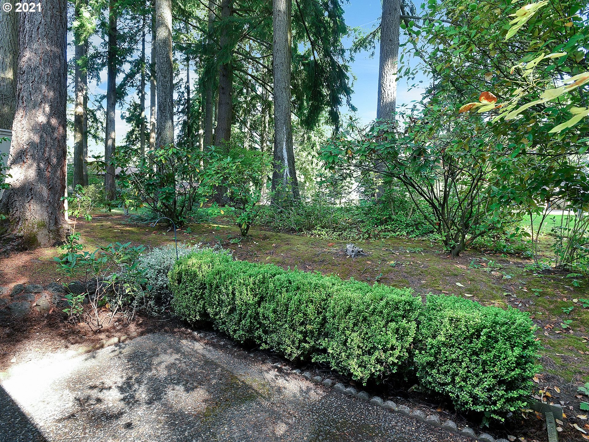 Photo #3: 21654638 Listing 