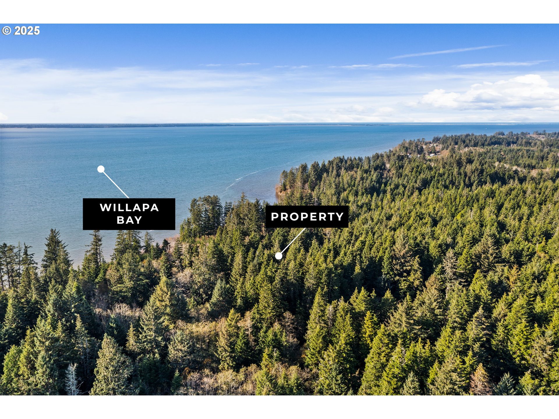 Search Homes for Sale