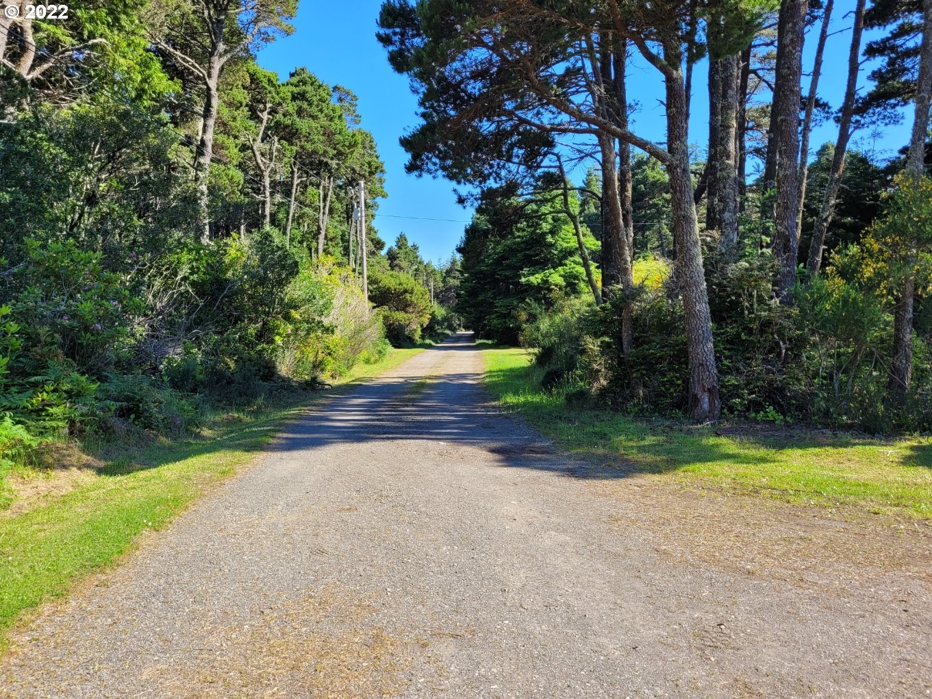 Driveway-Shared