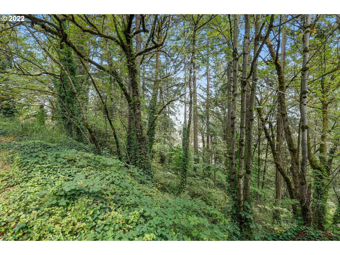 E SIDE NW GERMANTOWN RD, Portland, OR, 97231