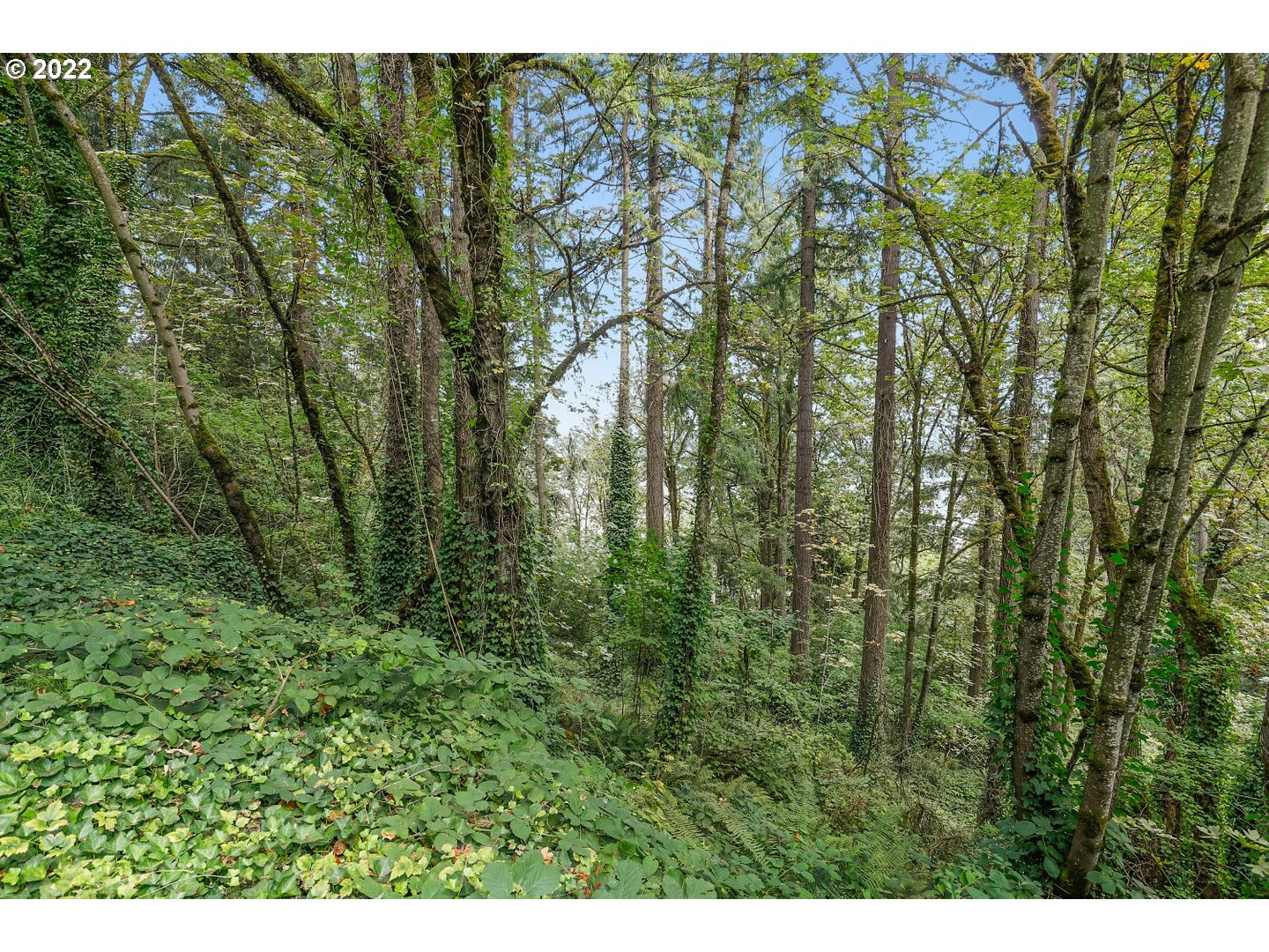 E SIDE NW GERMANTOWN RD, Portland, OR, 97231