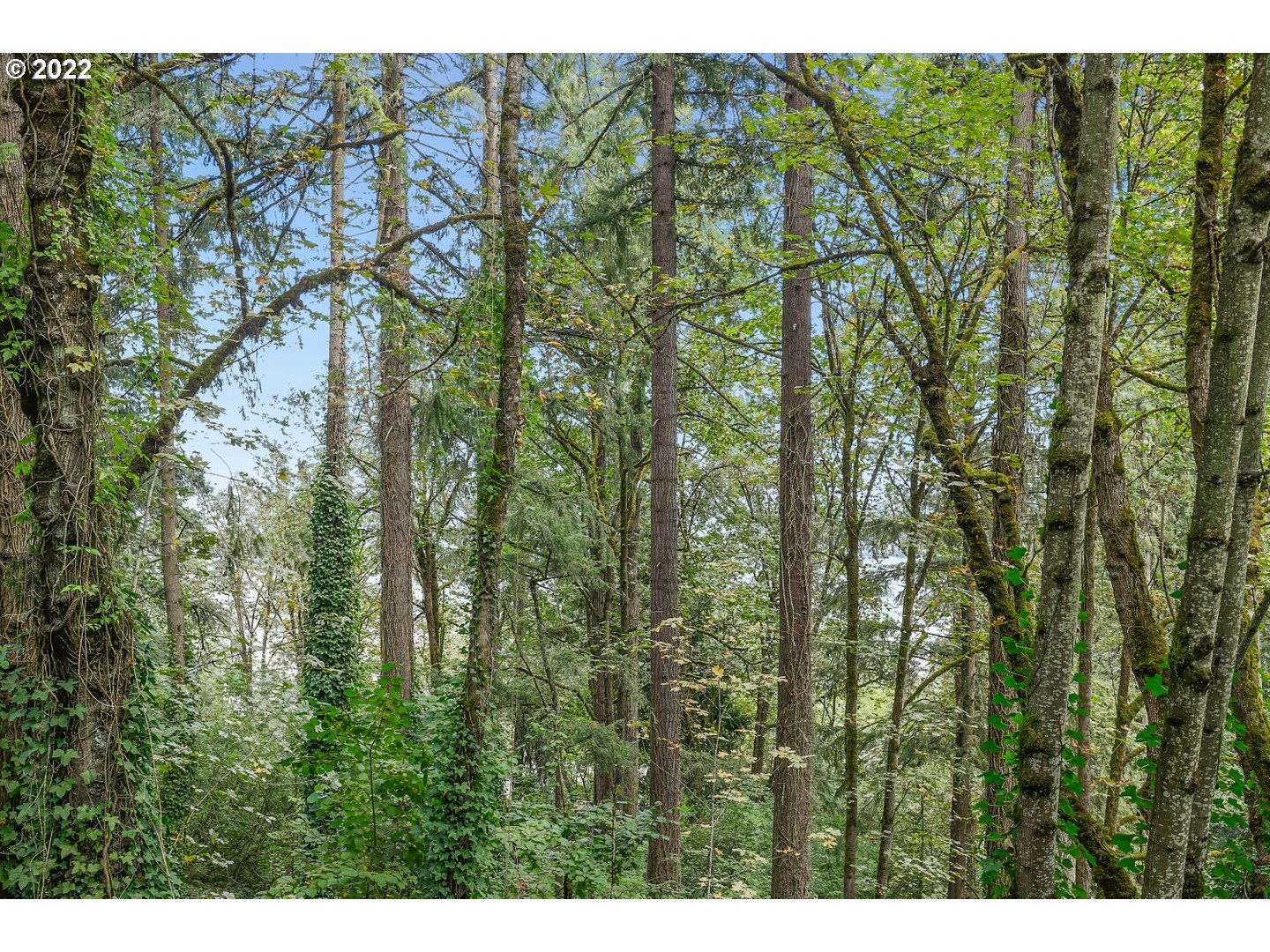 E SIDE NW GERMANTOWN RD, Portland, OR, 97231