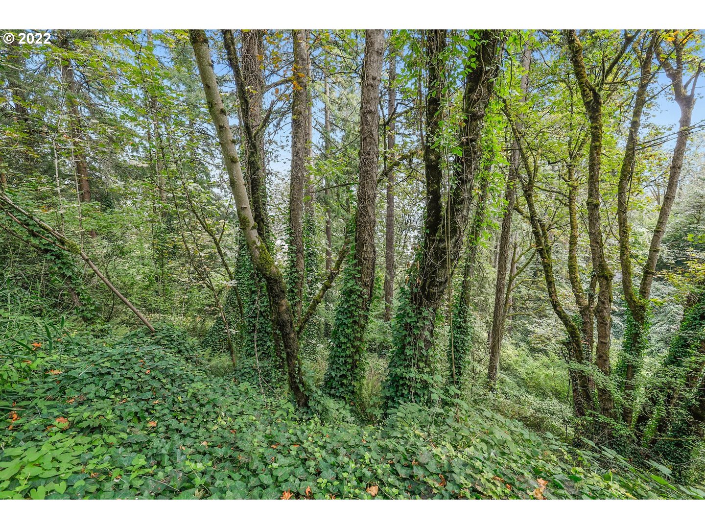 E SIDE NW GERMANTOWN RD, Portland, OR, 97231