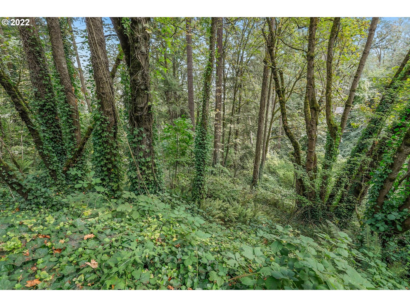 E SIDE NW GERMANTOWN RD, Portland, OR, 97231