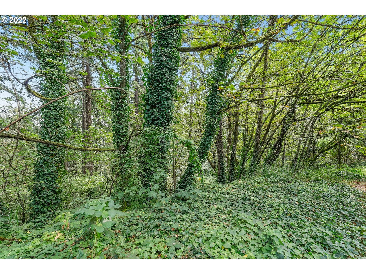 E SIDE NW GERMANTOWN RD, Portland, OR, 97231