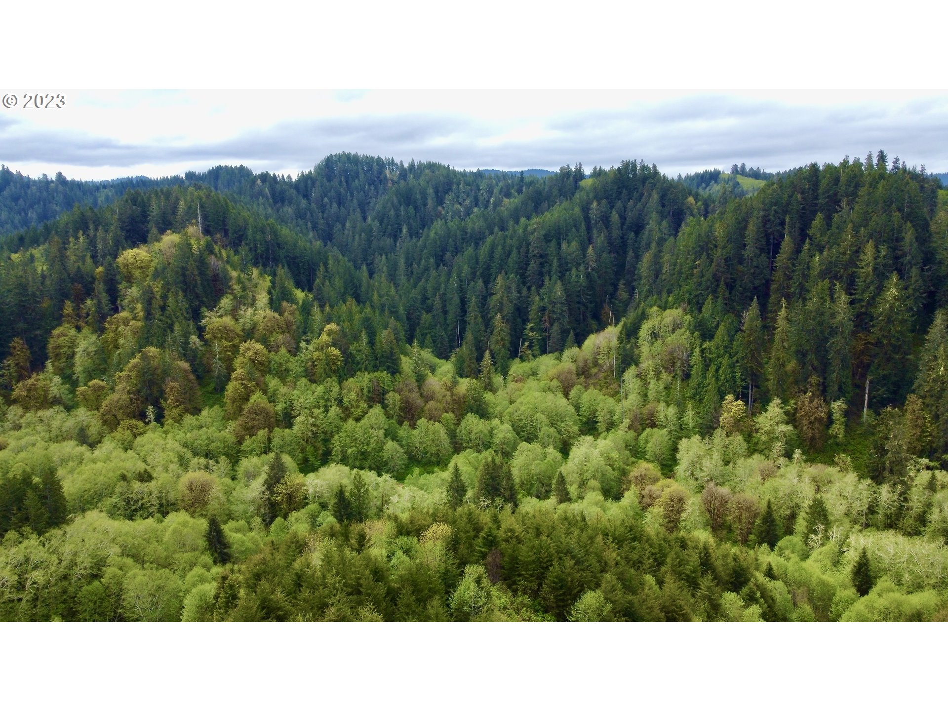100AC Secluded and forested coast range get away. Beaver Creek runs through the center of the valley area with Maple trees in a gently sloped grove. E40 (Exclusive Farm Use Zone) and F1 zoning. Planted with Doug Fir and 1500 Red Cedar in 2017. Surrounded by sloped tree farms. Buyer do to all due Diligence. Tree Farm and Recreational dreams to be discovered Just over 5 miles from paved road. Incredible views, of the valley and mountain tops to explore in this forest retreat.