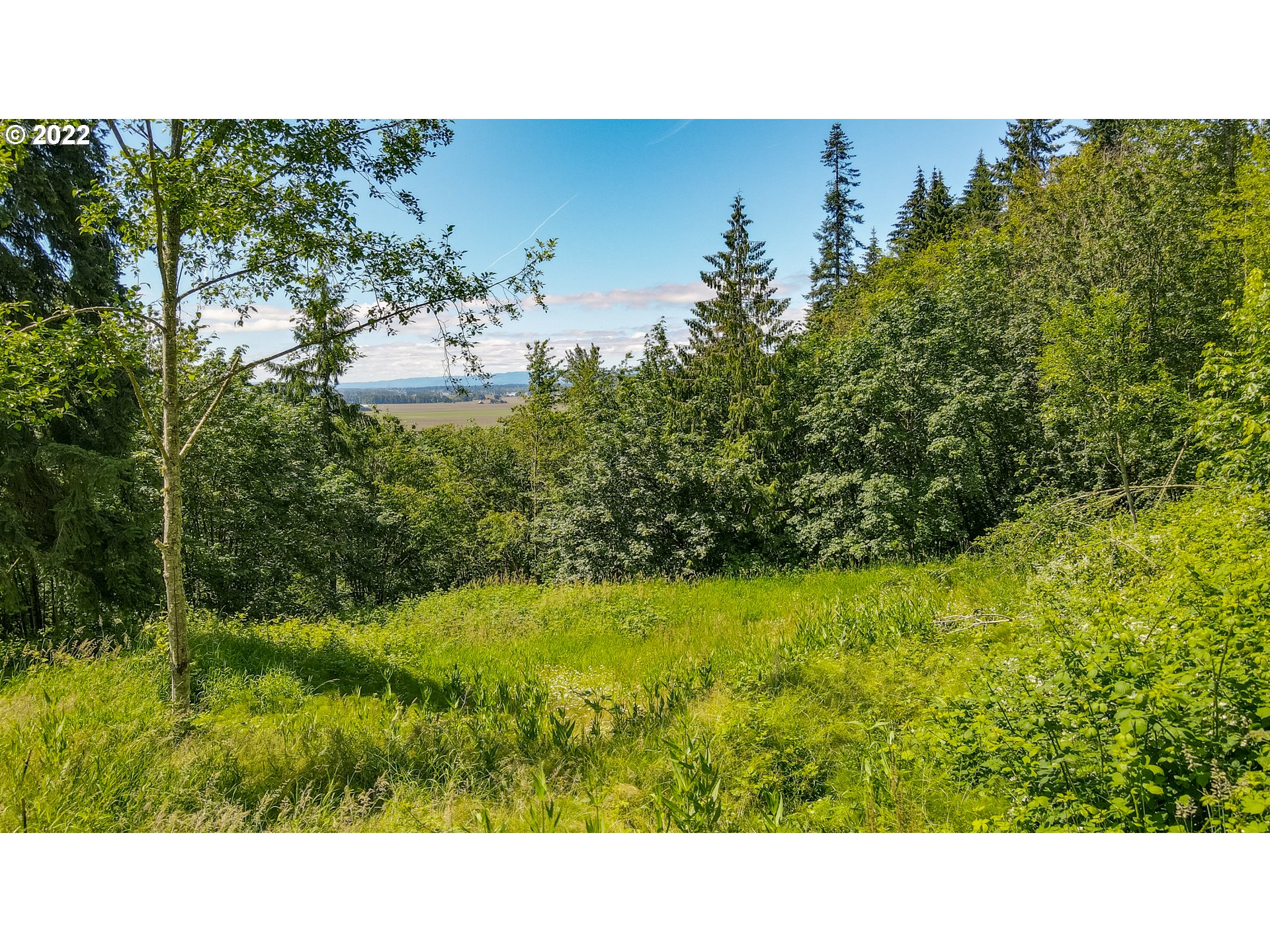 0 Columbia View DR, Woodland, WA, 98674