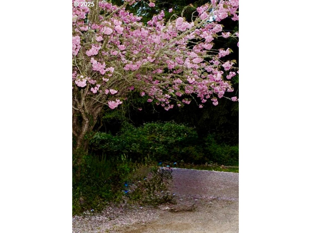 99268 WINCHUCK RIVER RD, Brookings, OR, 97415