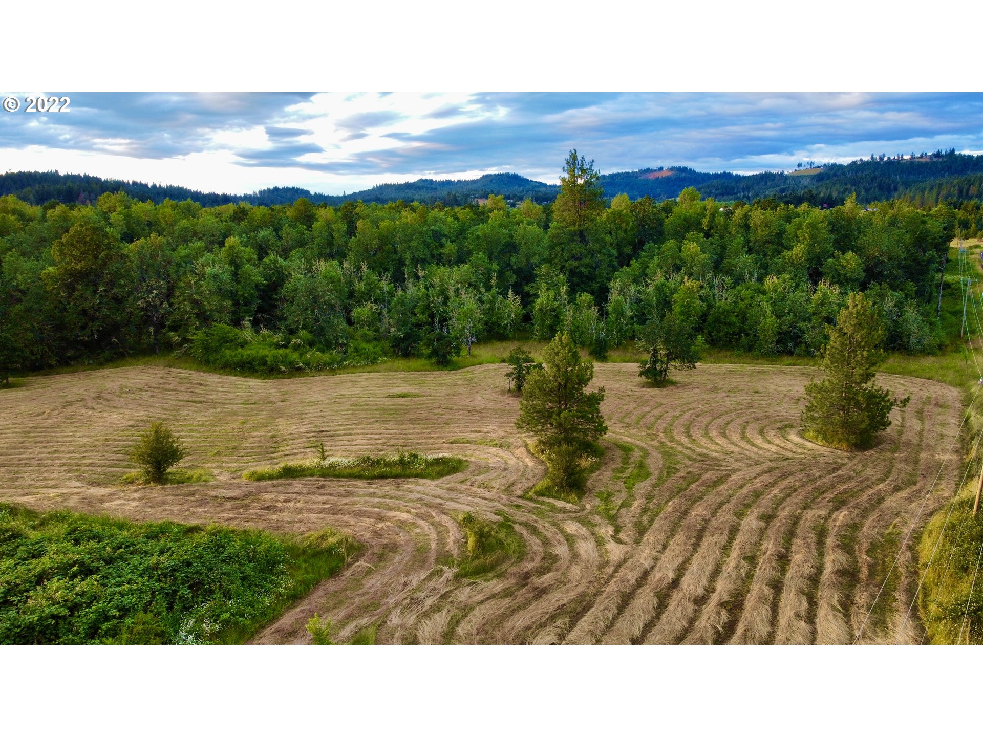 Over 11 acres of land, zoned E40 (Exclusive Farm Use Zone), located close in to town in the beautiful countryside of Spencer Creek Rd.