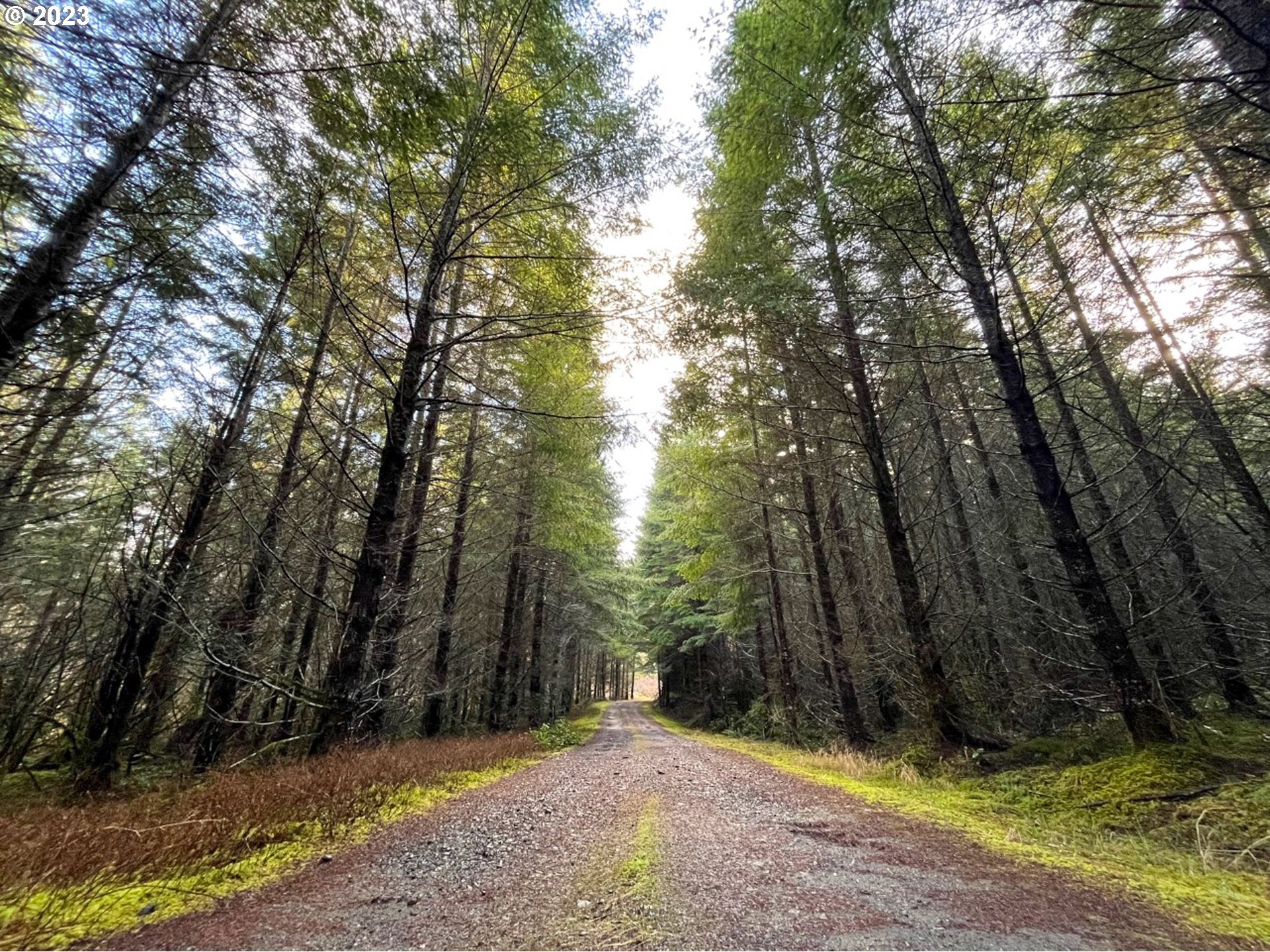 <p>Featured Properties</p>