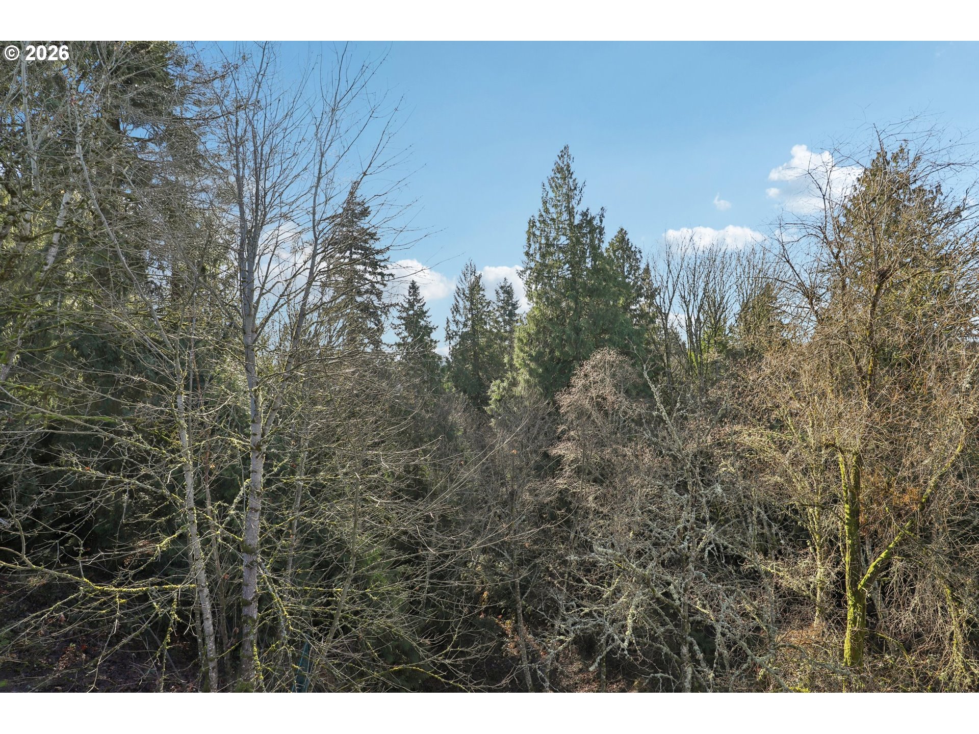 Photo #16: 221857053 Listing: Photo #16