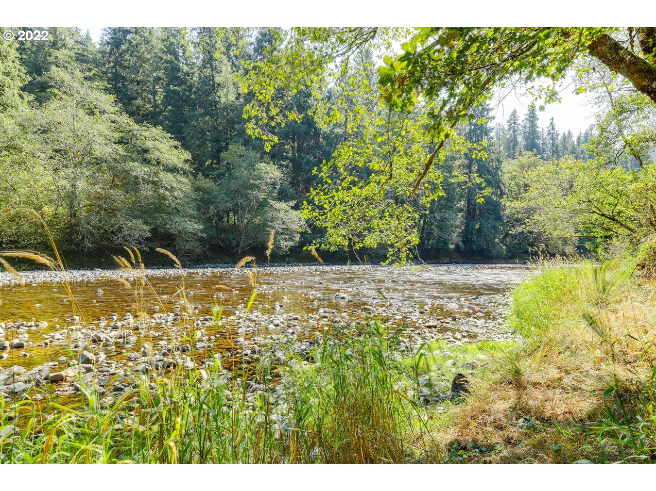 10250 KILCHIS RIVER RD, Tillamook, OR 97141