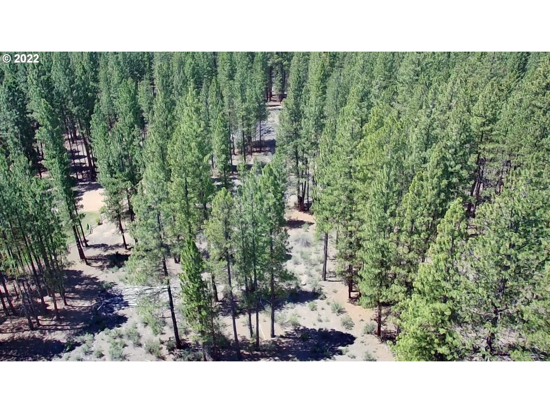 Search Homes for Sale