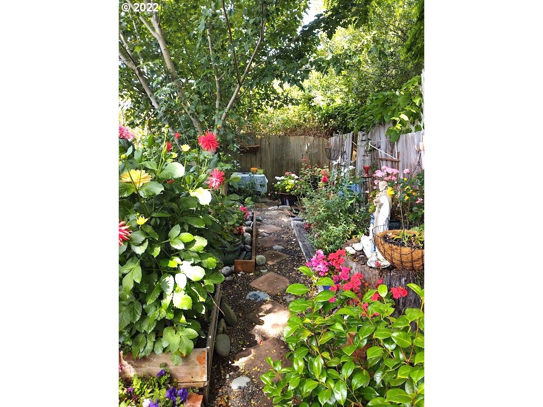 Backyard-Fenced