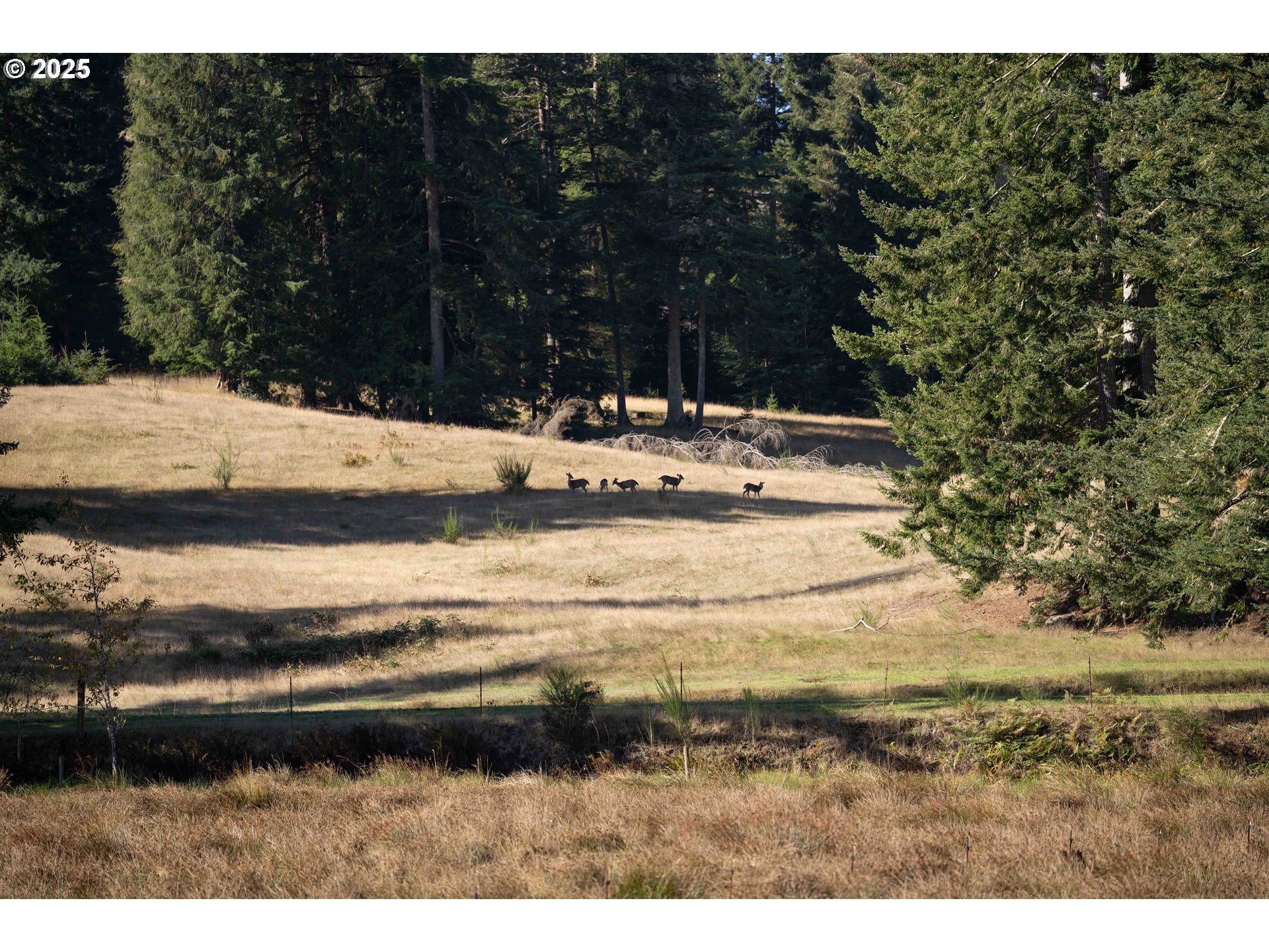 62061 ROSS INLET RD, Coos Bay, OR, 97420