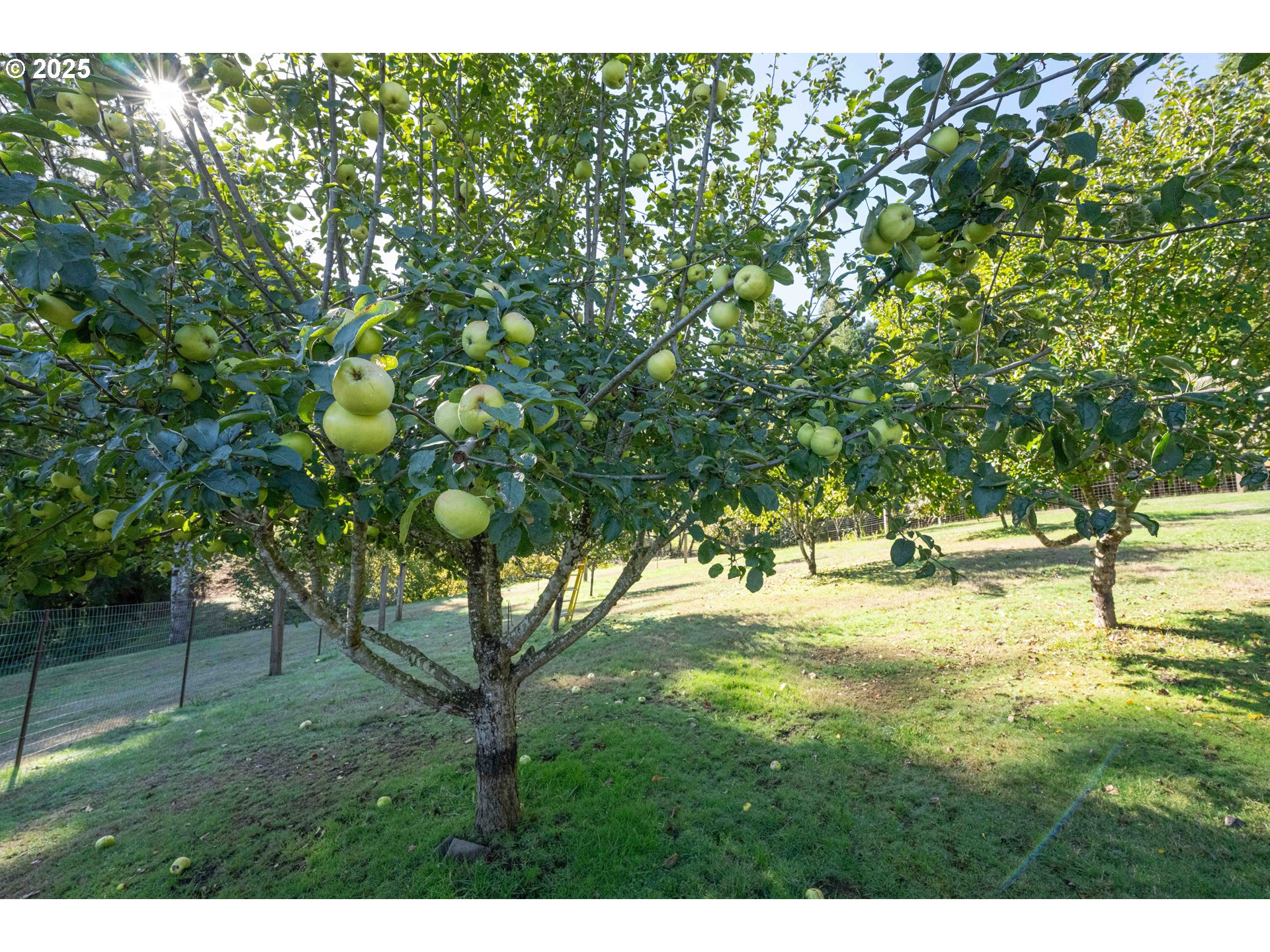 62061 ROSS INLET RD, Coos Bay, OR, 97420