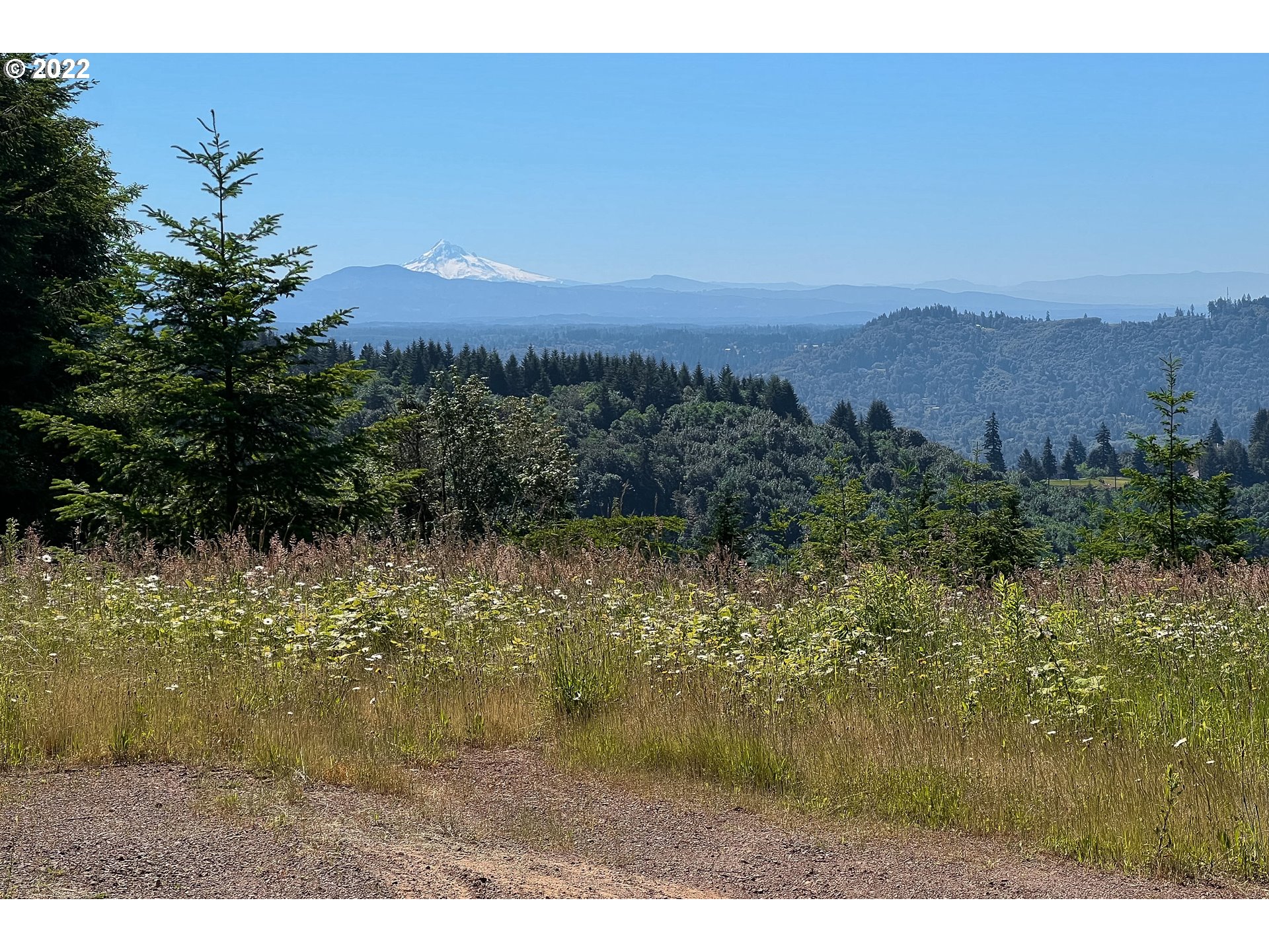  Runyan Rd, Woodland, WA 98674