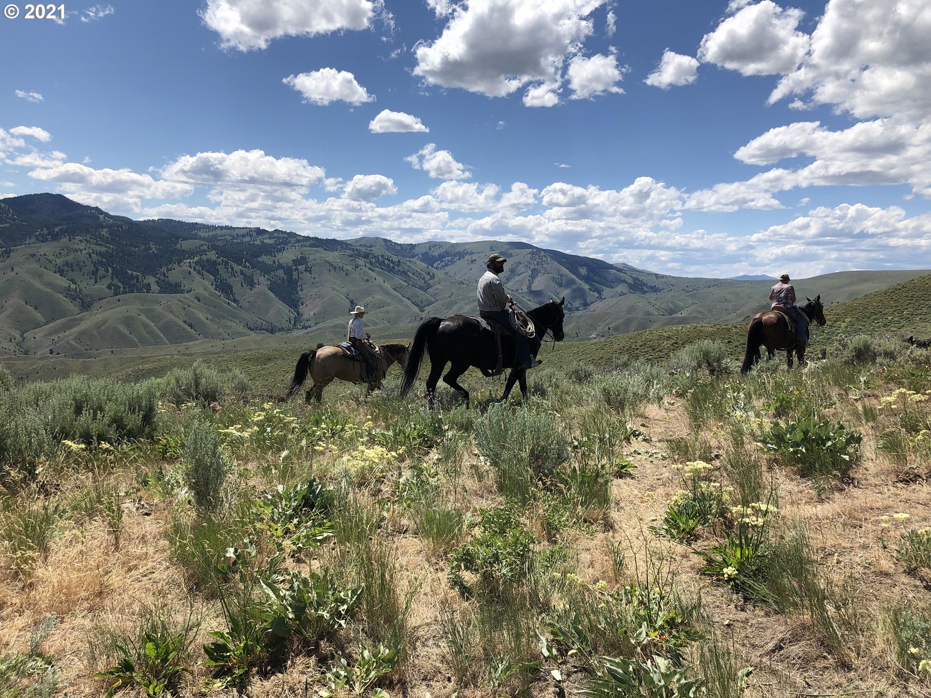 Shirttail Creek RD