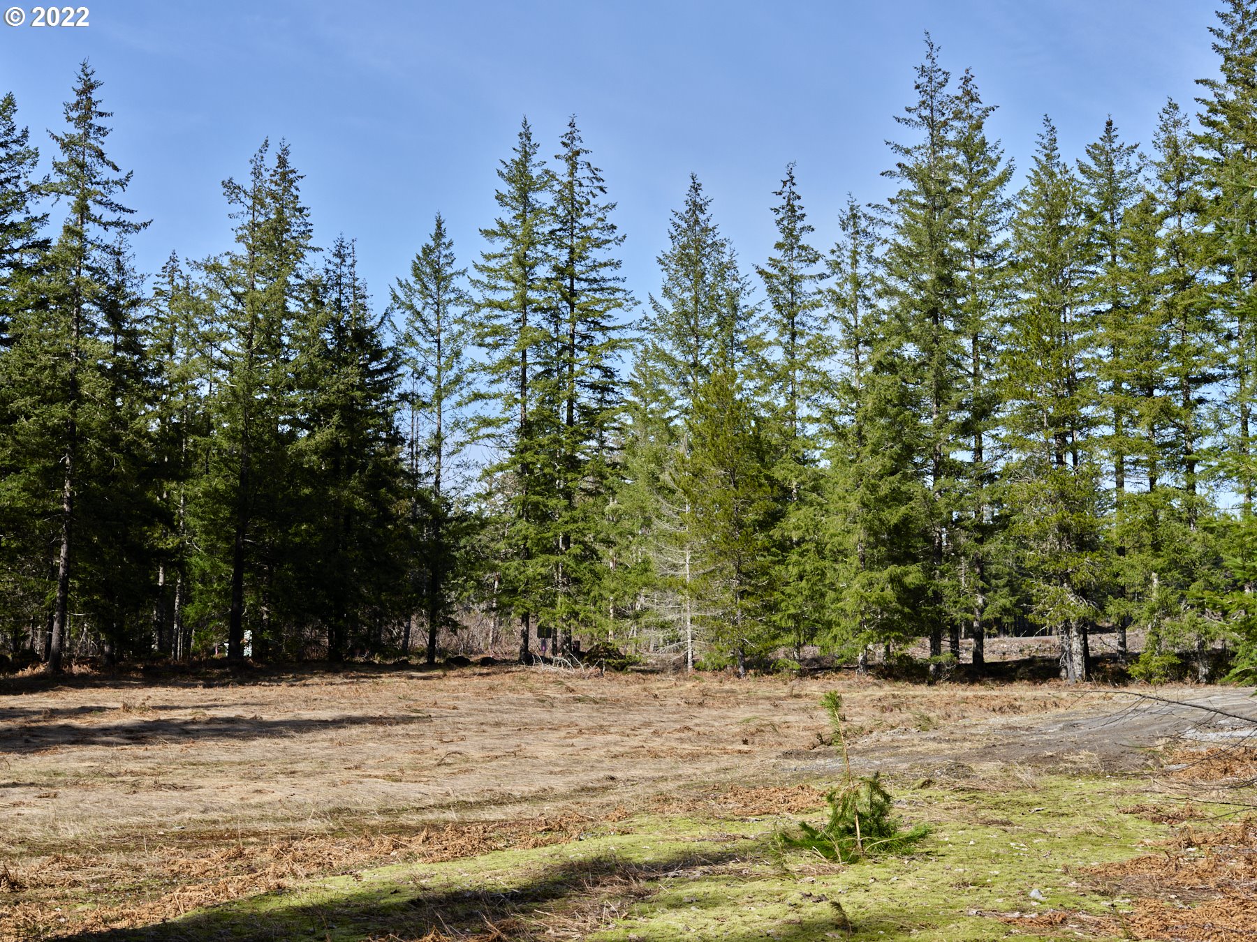 7771 ZOE DR, Brookings, OR, 97415