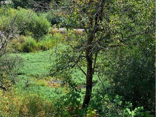 Photo #4: 22285244 Listing 