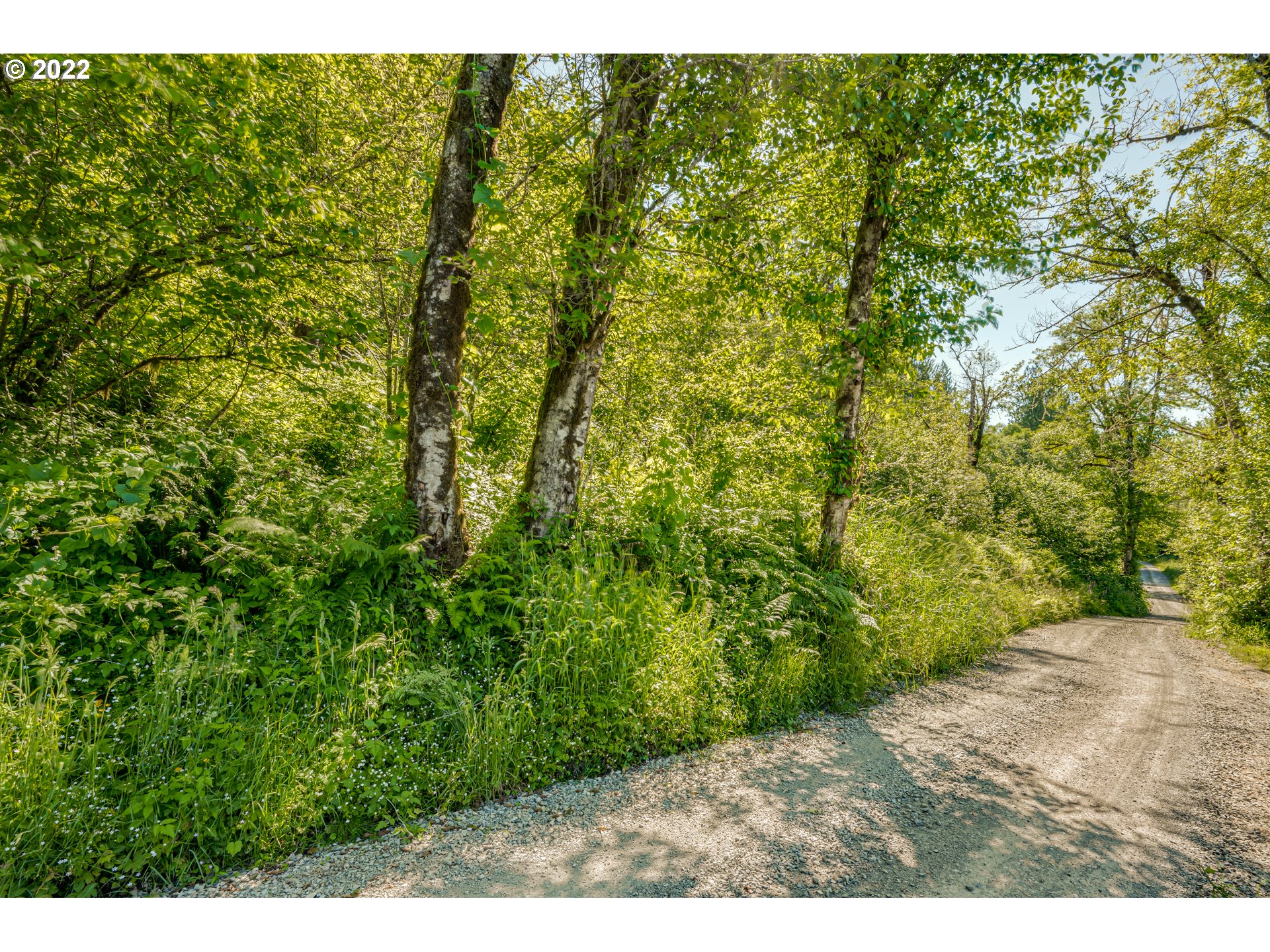  Buncombe Hollow Rd, Woodland, WA 98674