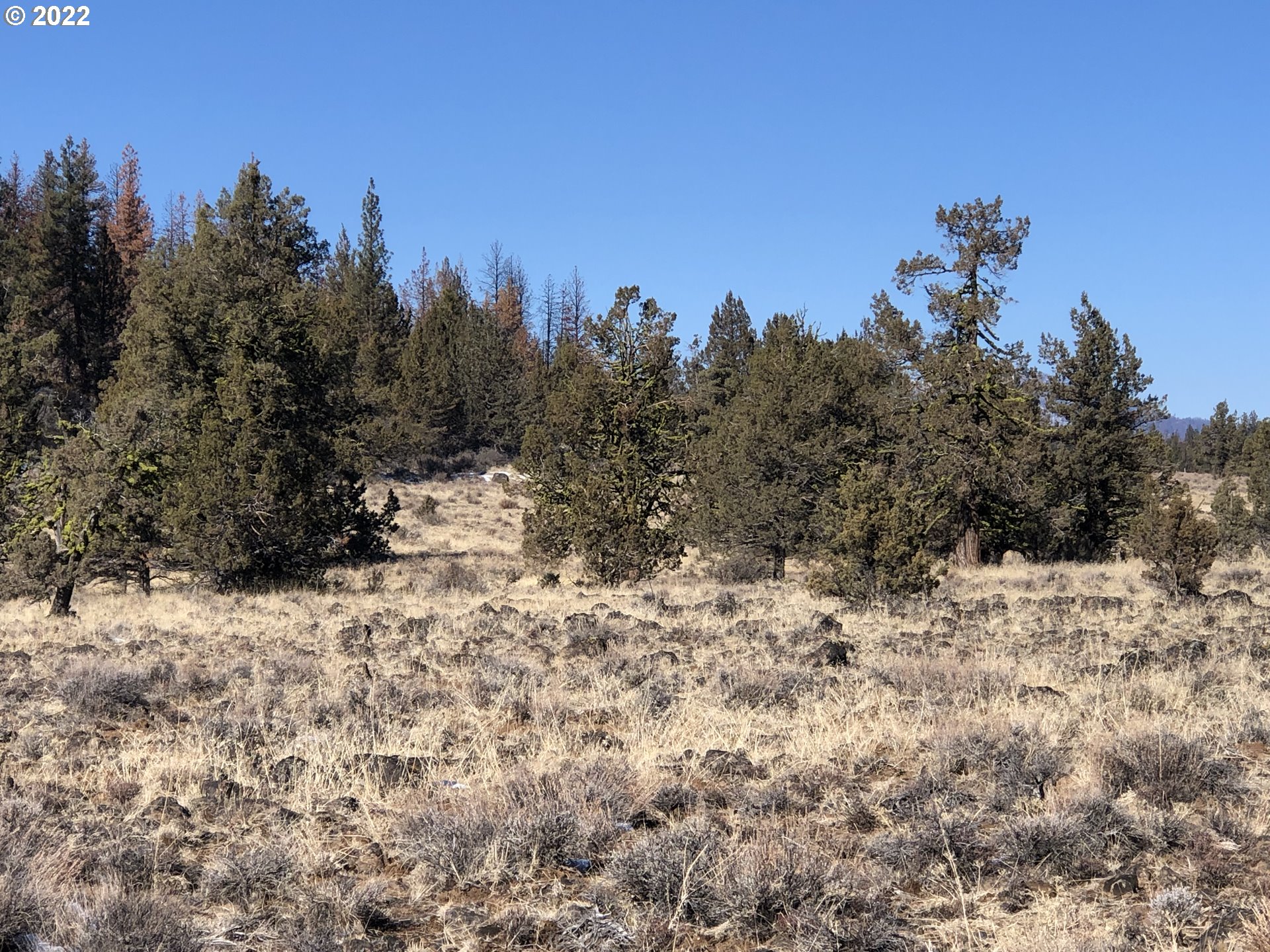 Photo of Allynpine RD Sprague River OR 97639