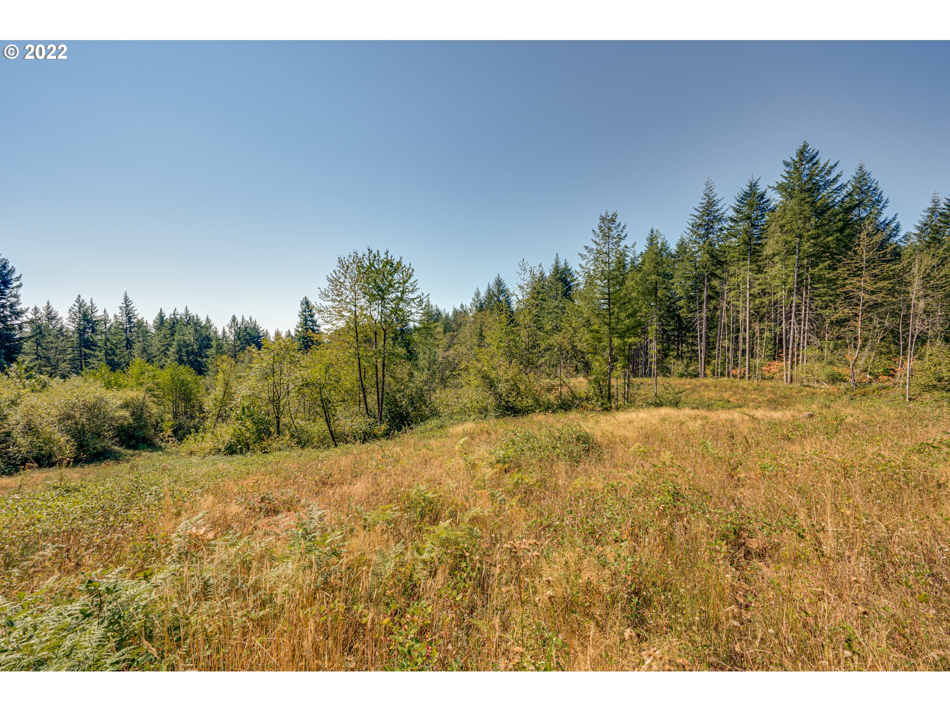 NE 45th St, Camas, WA 98607