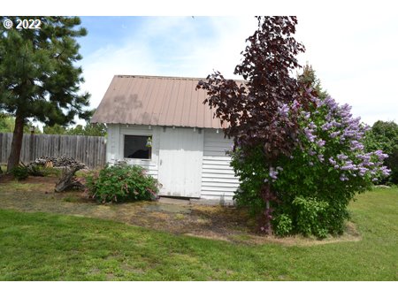 Shed