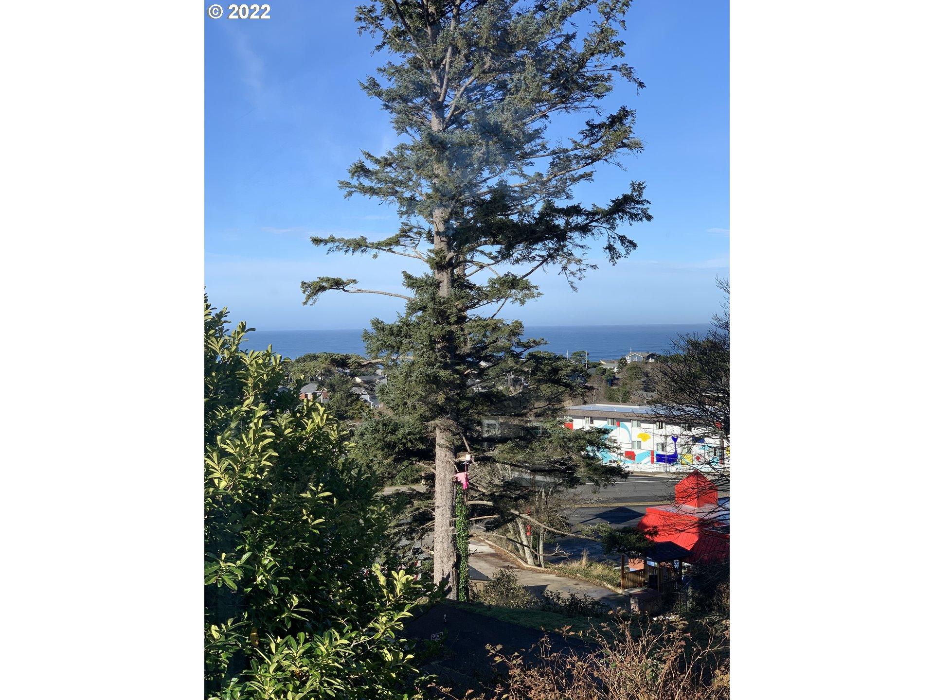 View-Beach/Ocean