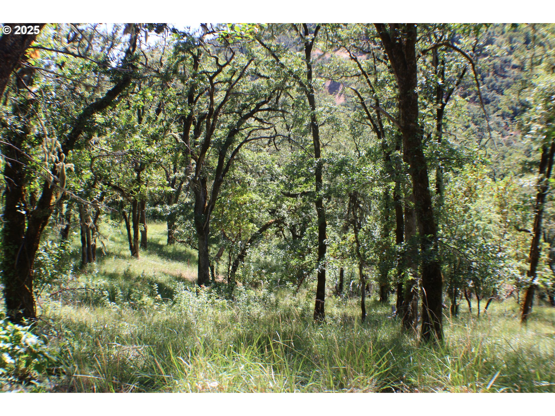 345 SIERRA DR, Roseburg, OR, 97471