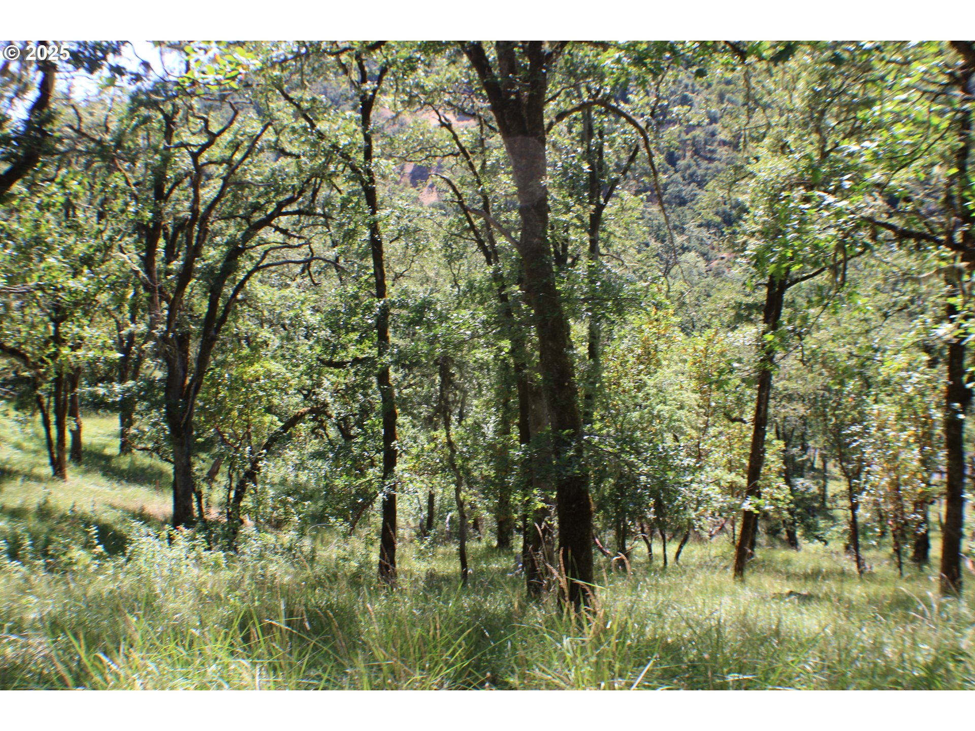 345 SIERRA DR, Roseburg, OR, 97471