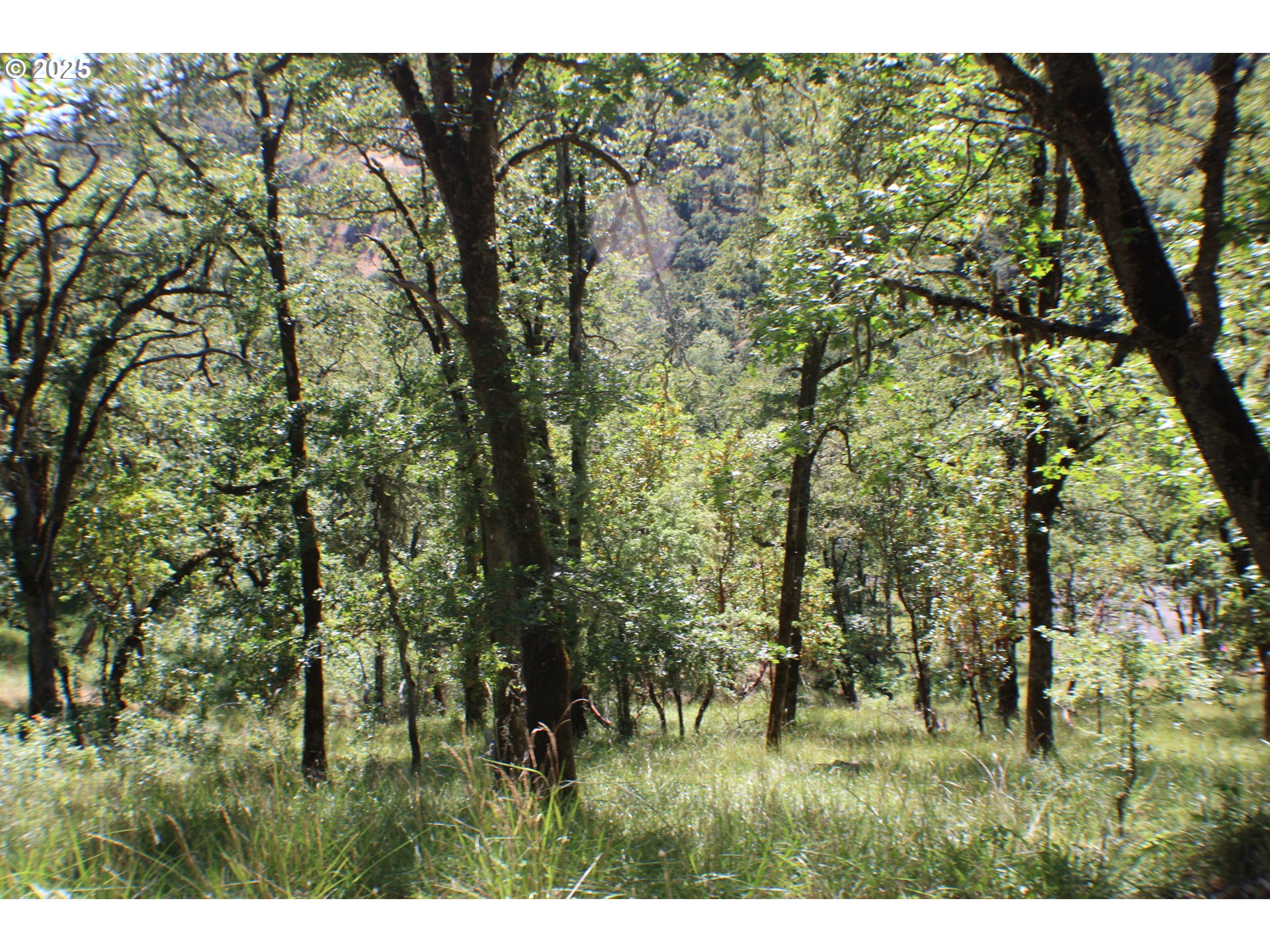 345 SIERRA DR, Roseburg, OR, 97471