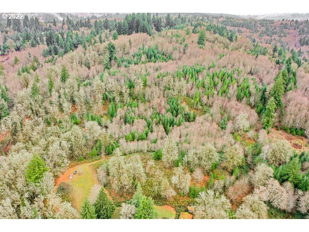  Coal Creek Rd, Longview, WA 98632