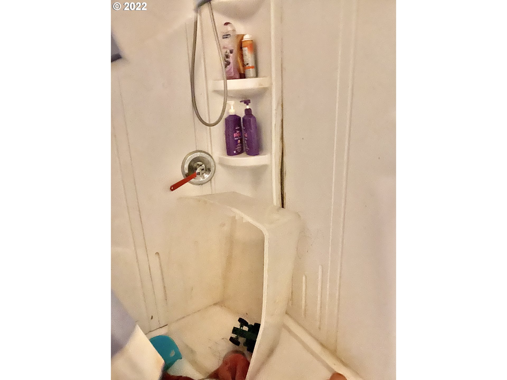 Bathroom-Walk in Shower