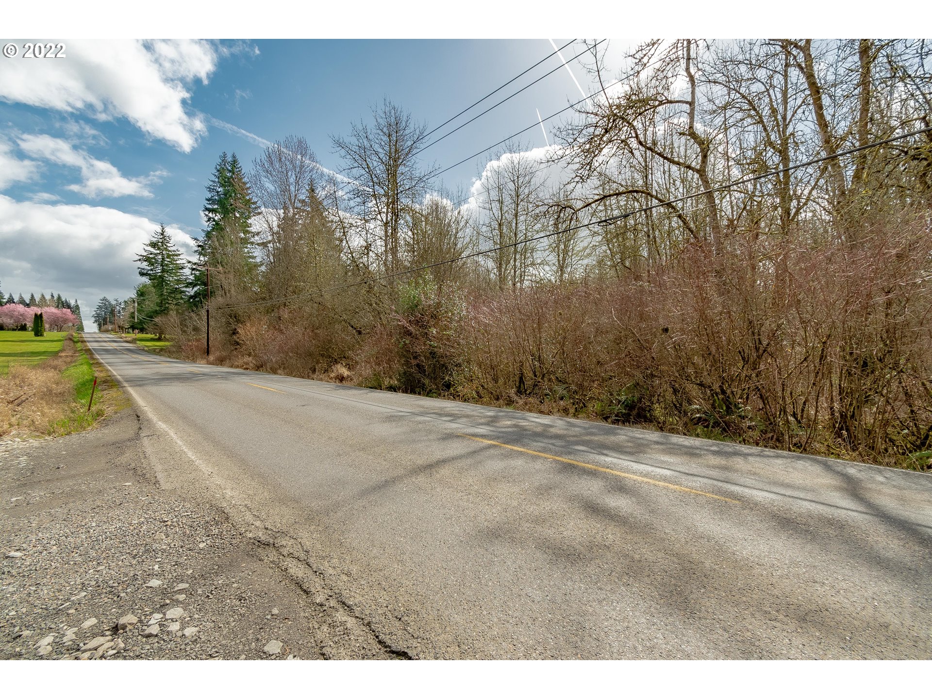 NE 199th St, Ridgefield, WA 98642