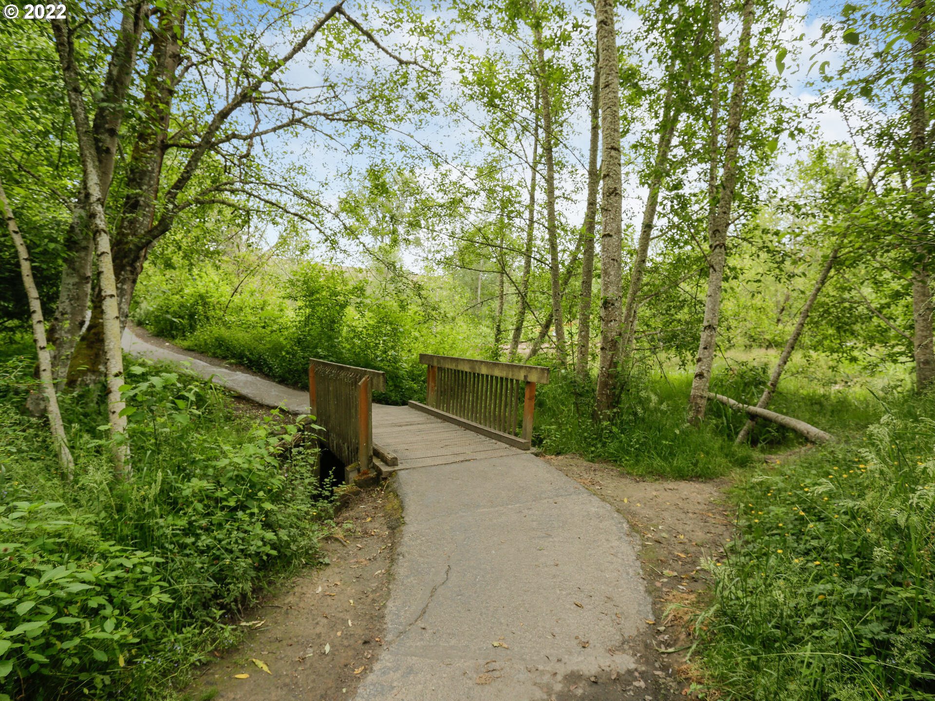 Photo #4: 22454182 Listing 
