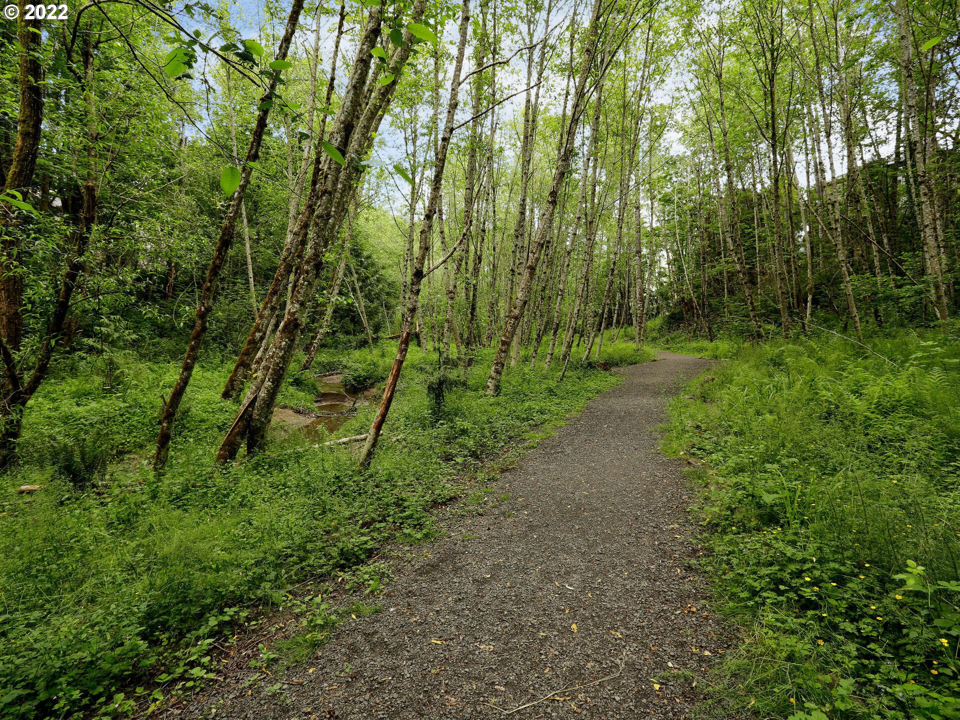 Photo #5: 22454182 Listing 