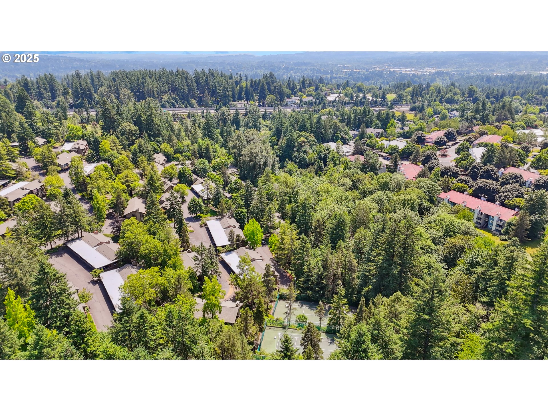 Photo #17: 224932068 Listing: Photo #17