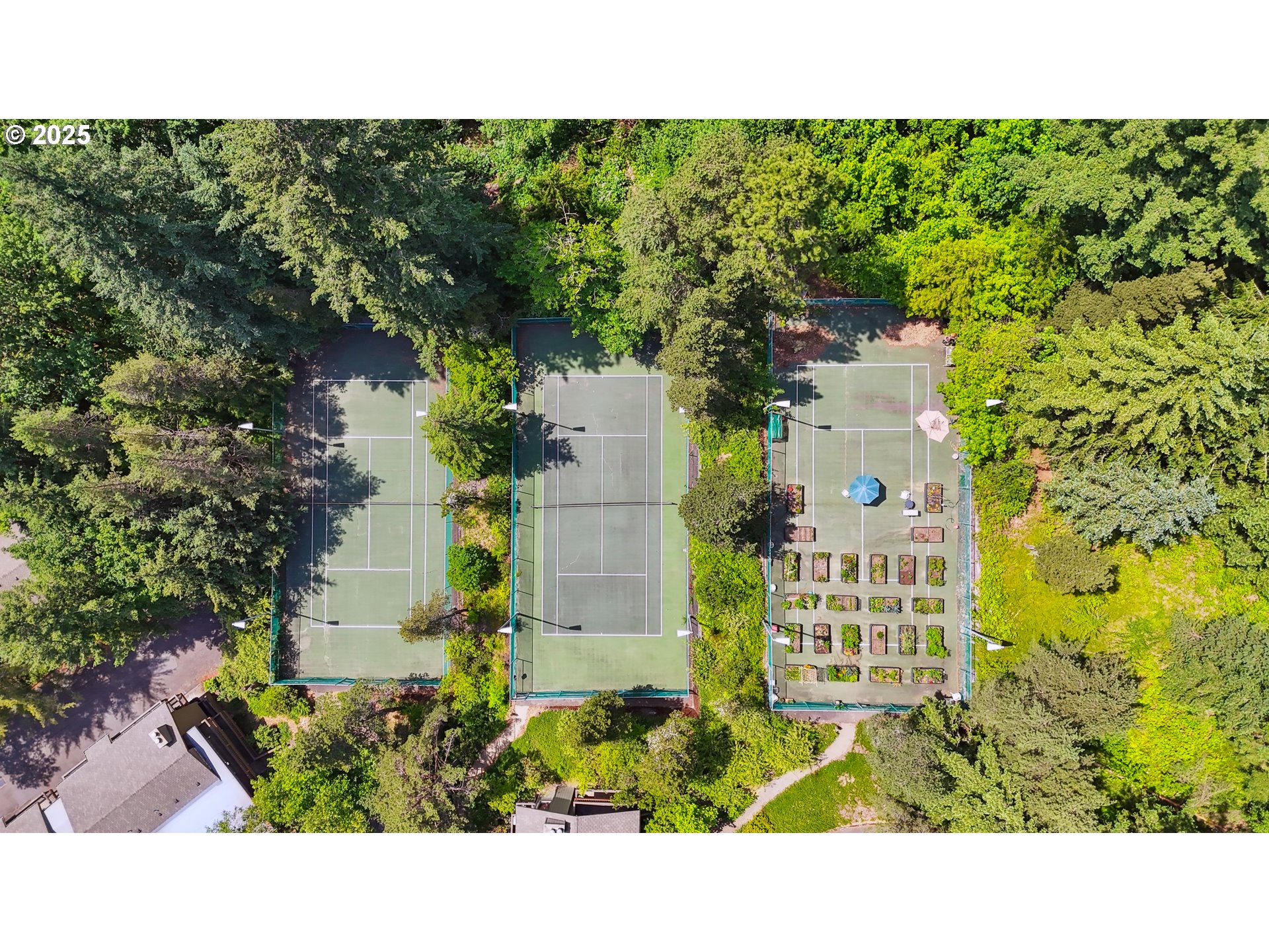 Photo #18: 224932068 Listing: Photo #18