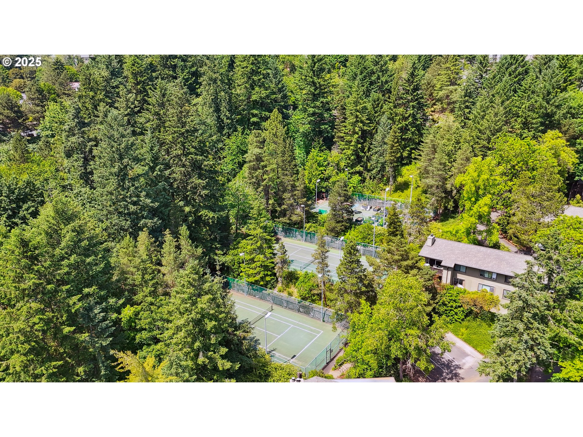 Photo #19: 224932068 Listing: Photo #19