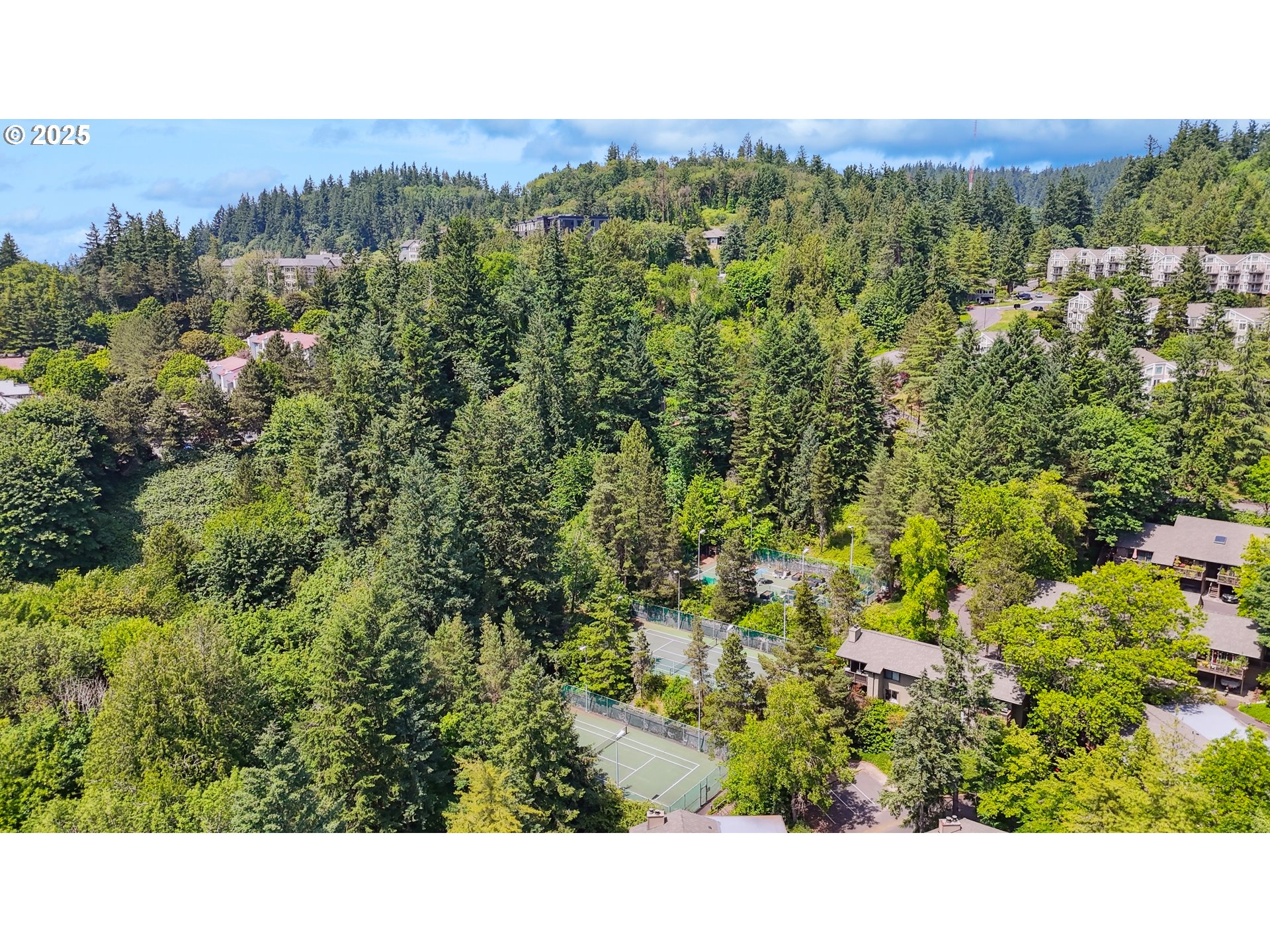 Photo #20: 224932068 Listing: Photo #20