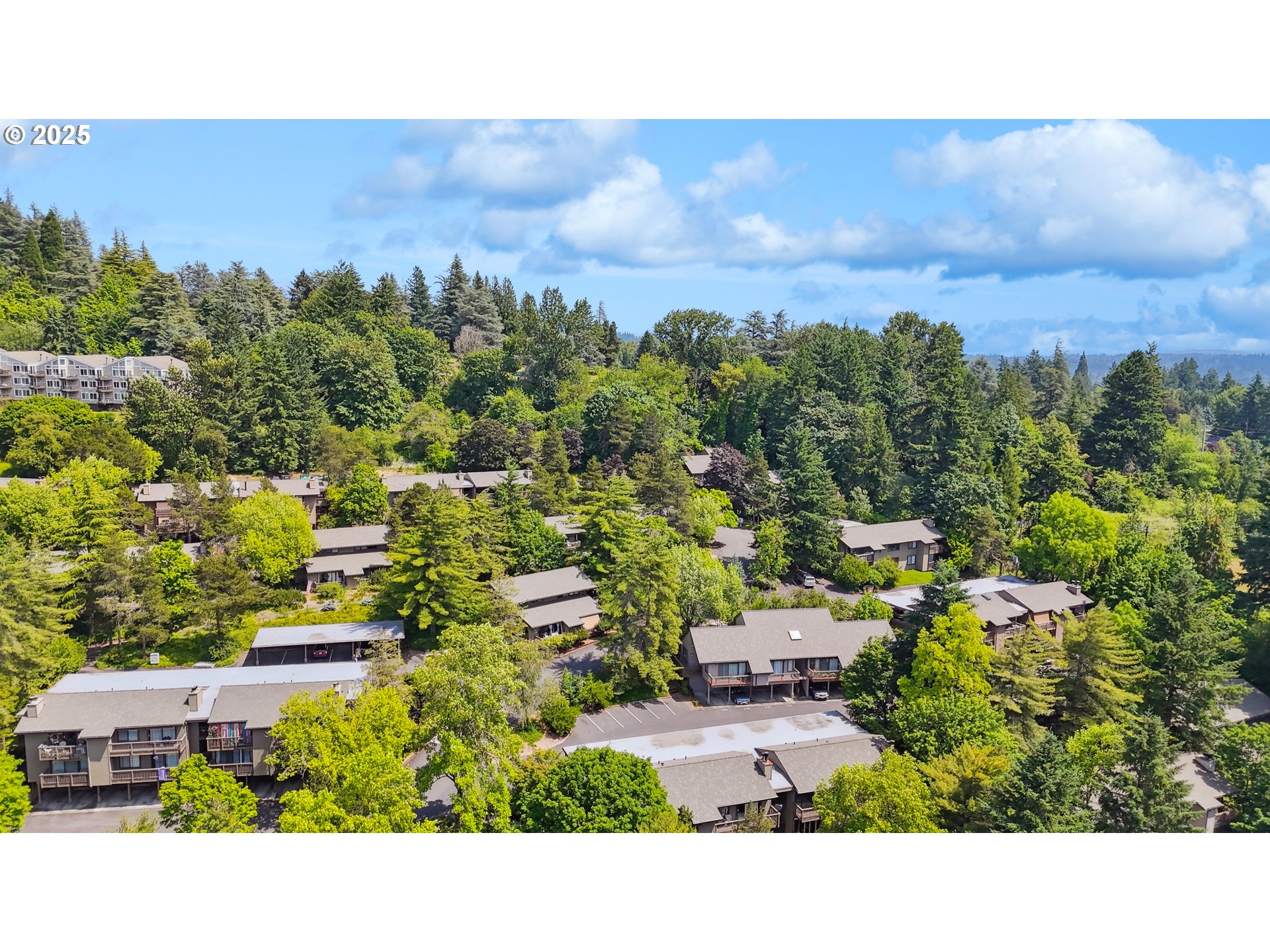 Photo #21: 224932068 Listing: Photo #21