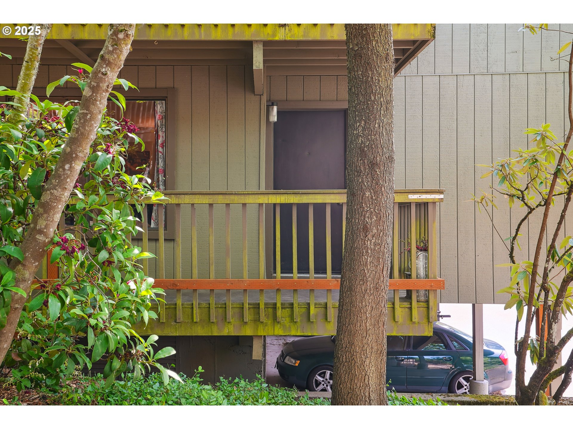 Photo #27: 224932068 Listing: Photo #27