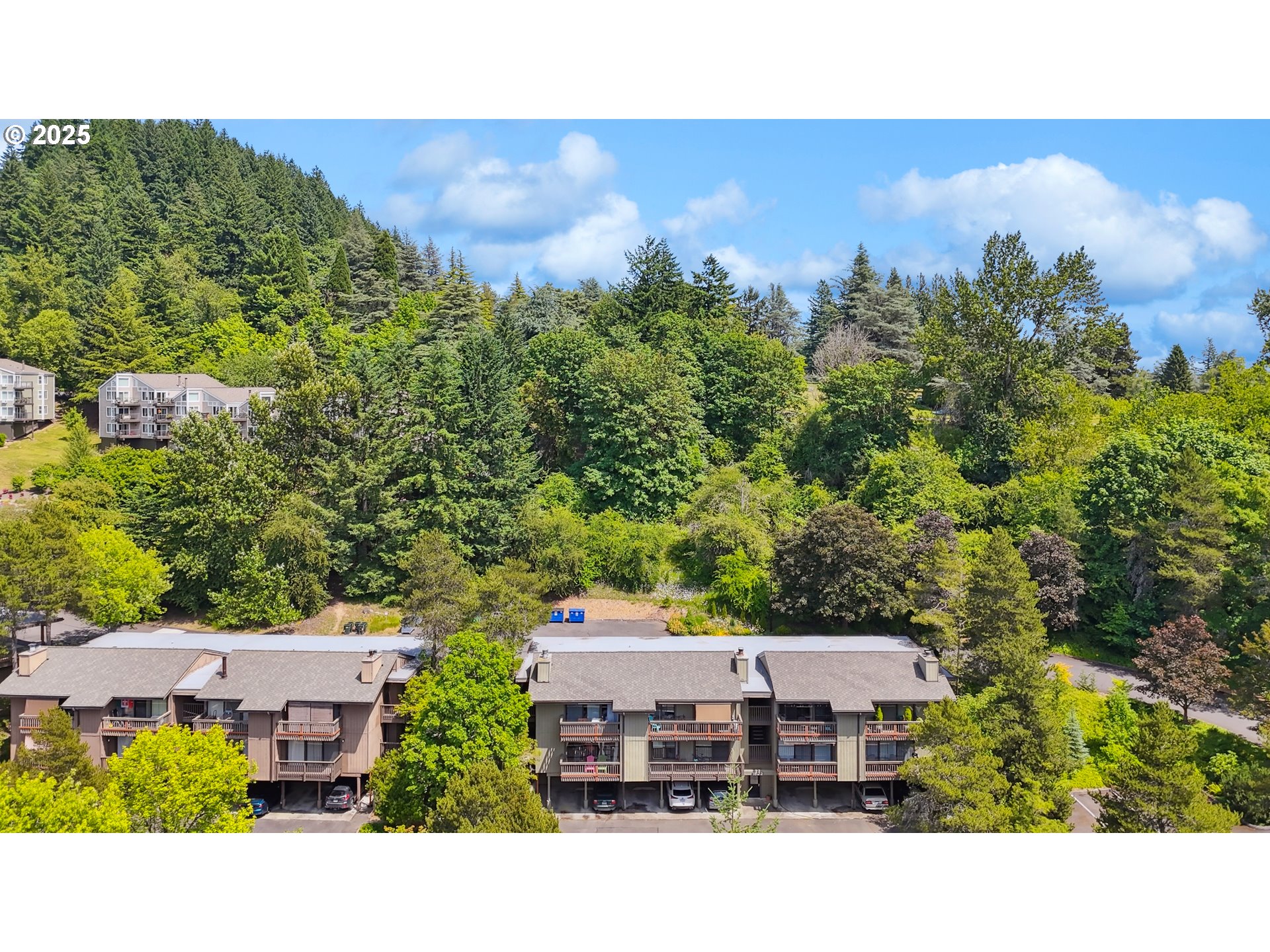 Photo #3: 224932068 Listing: Photo #3