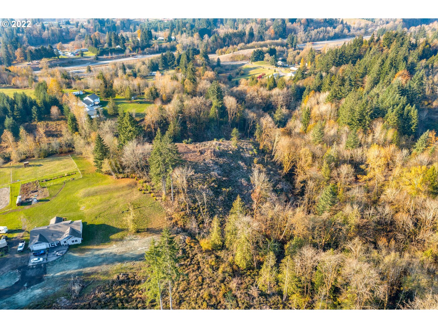 252  Alpenridge Rd, Kelso, WA 98626