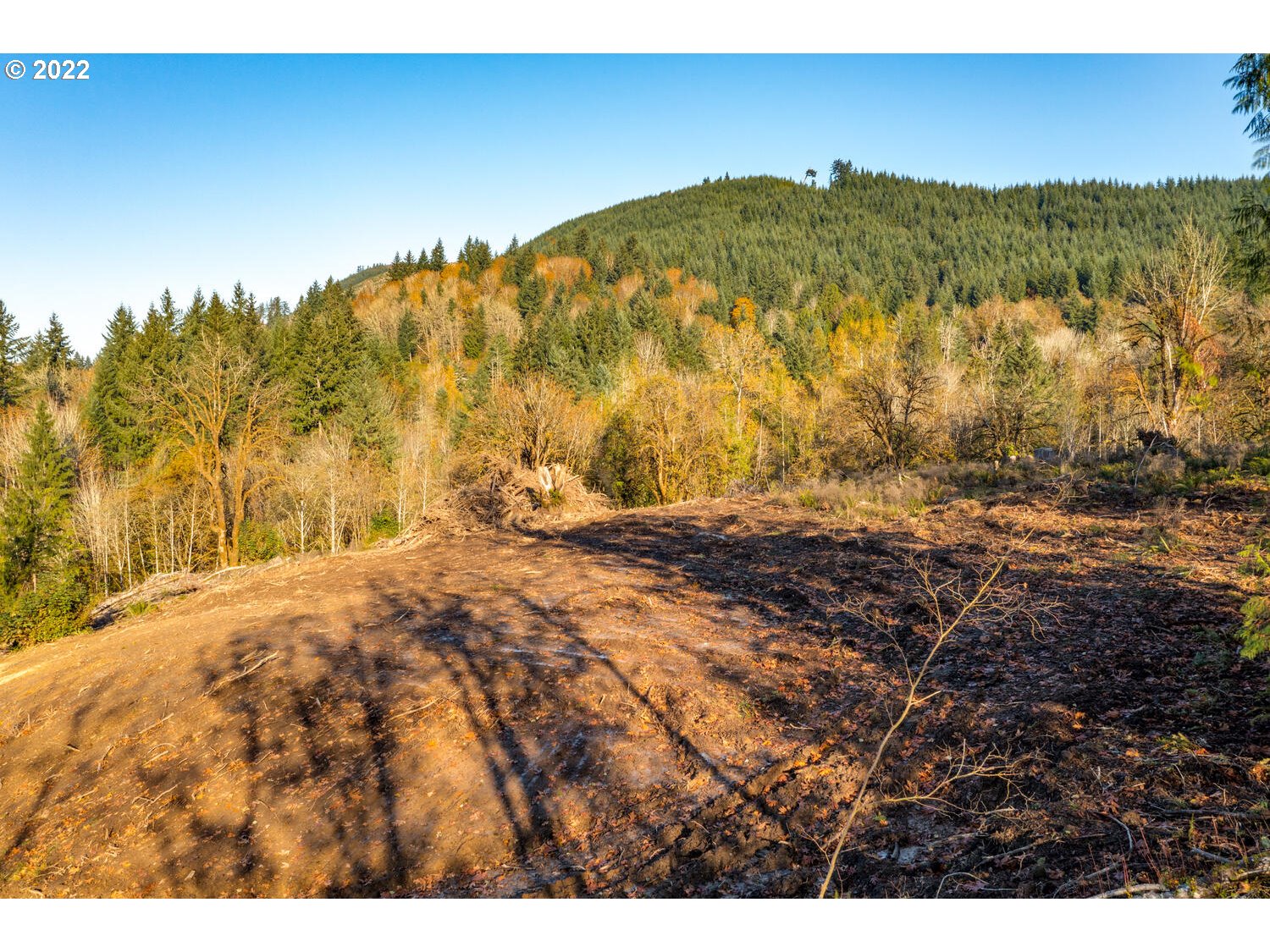 252  Alpenridge Rd, Kelso, WA 98626