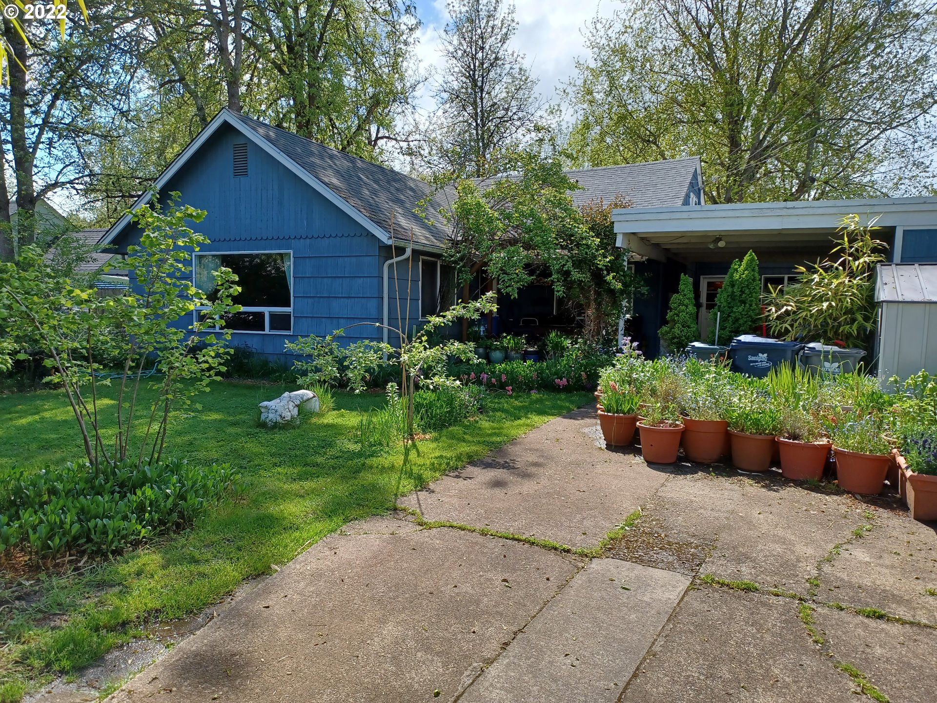 Large 2200 sq ft home in South Eugene, w/.22 acres. Was 5 bedroom, converted to 4, but could be converted back. Primary bedrm on main floor. Family room has an exterior entrance, & was used as a pre-school. Kitchen has beautiful tile countertops, and new built-in oven 2021. Fruit trees & blueberry bushes in backyard. Quiet walkable neighborhood, just a few blocks to Albertson's, Bi-Mart, restaurants, Fern Ridge bike path & more. BOM after buyer got cold feet.