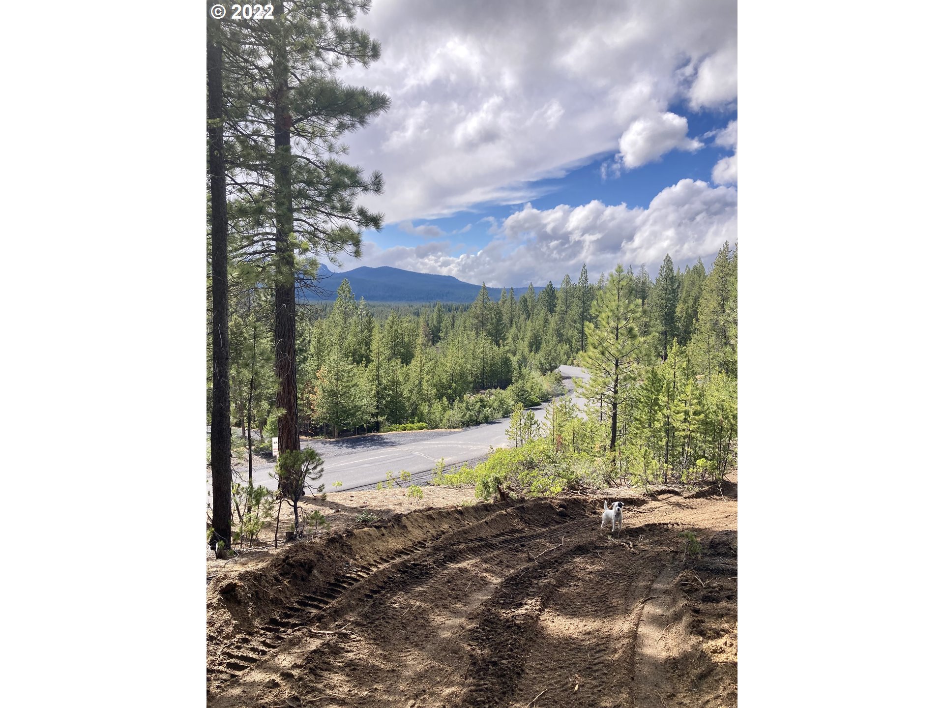 Finding the Right Home Crescent Lake Realty, LLC