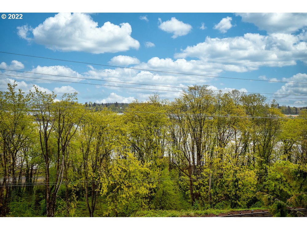 Photo #6: 22511114 Listing 