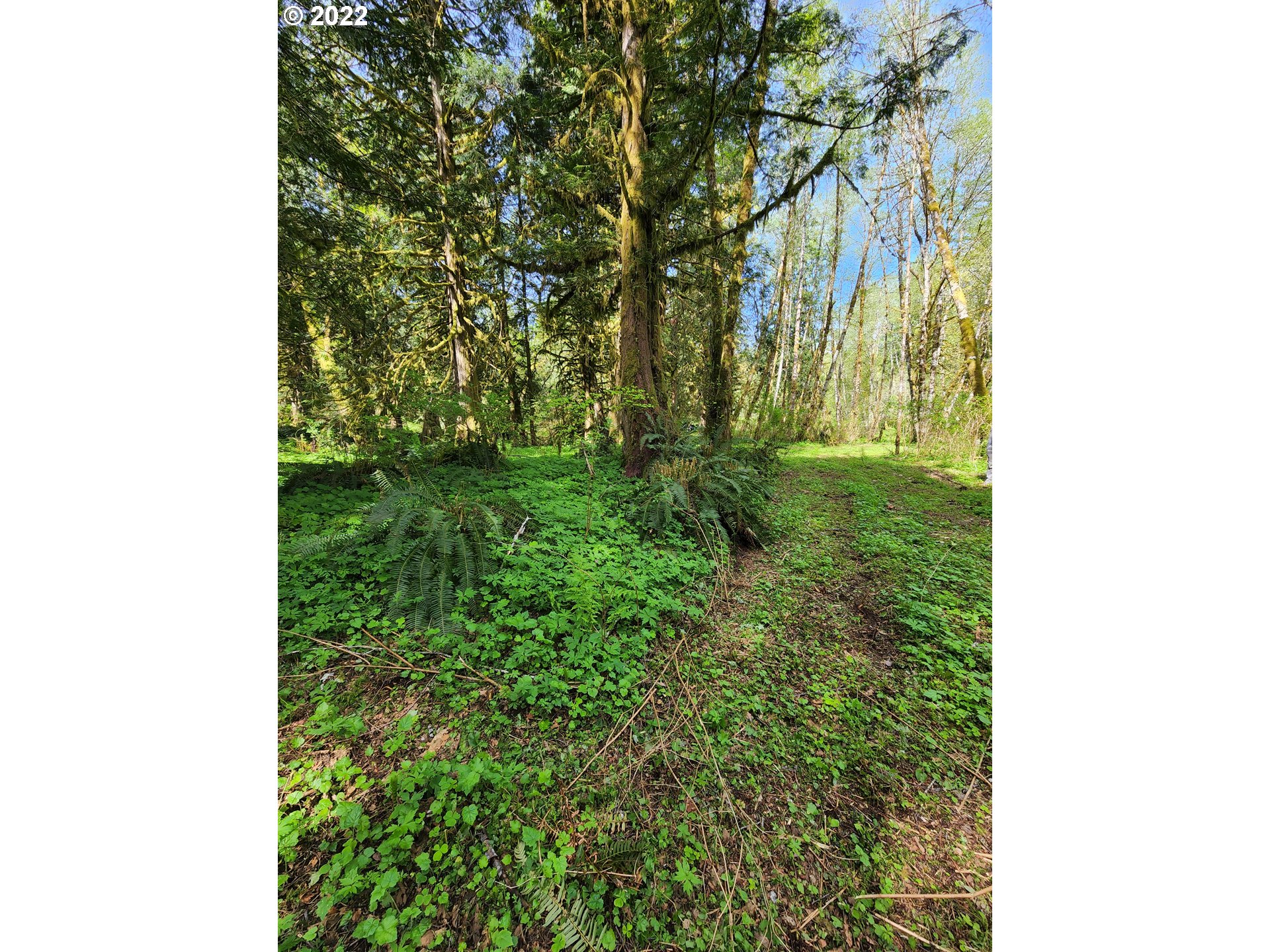  Baker Rd, Ariel, WA 98603